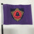 USQ Regional Mini Flags