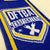 AFC Wimbledon Scarf