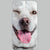 Chico iPhone Case
