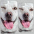 Chico iPhone Case
