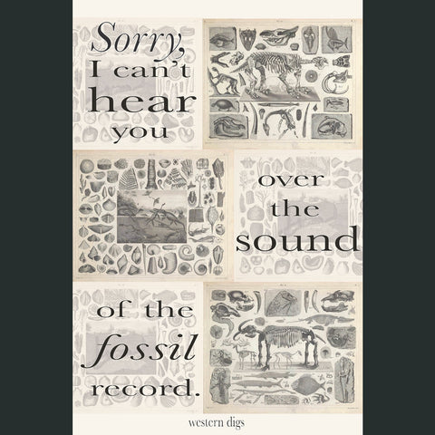 Fossil Record Poster